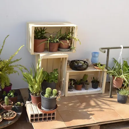 Attica Frühstückspension