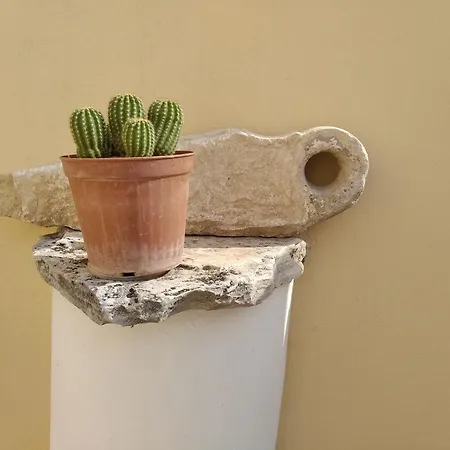 Attica Bed & Breakfast Terlizzi